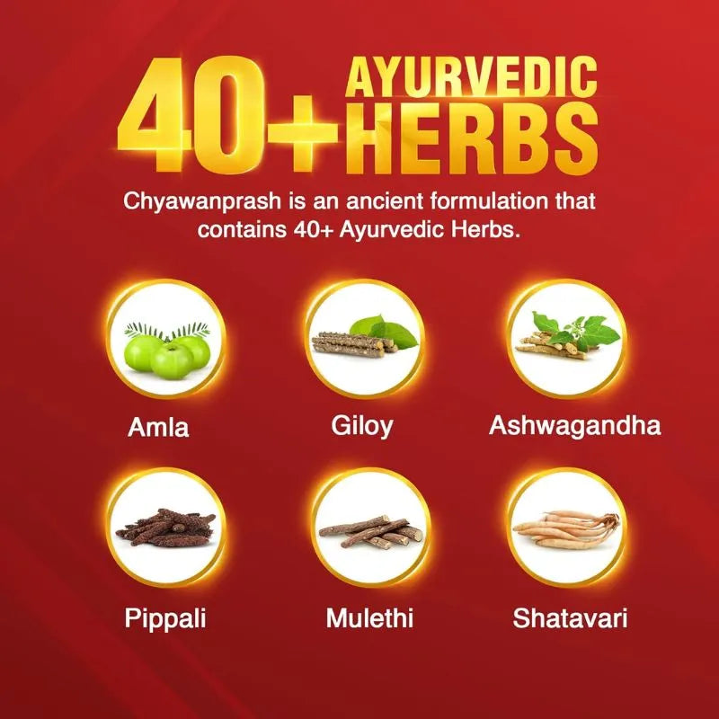 Dabur Chyawanprash - 550g-Global Food Hub