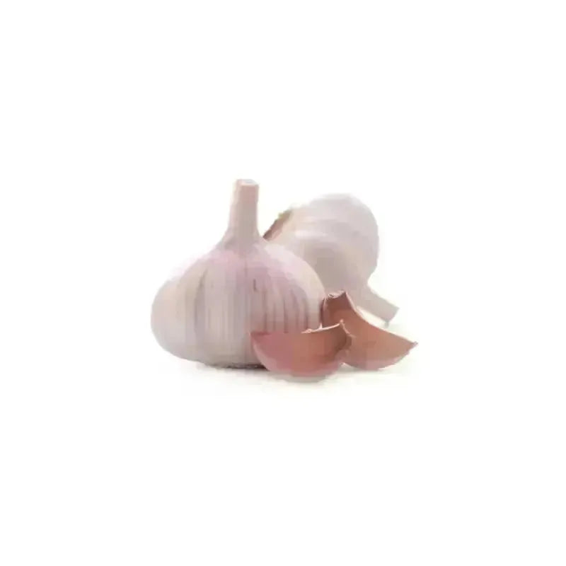 Fresh Big Sized Garlic / Lahasun - 475 -500g-Global Food Hub