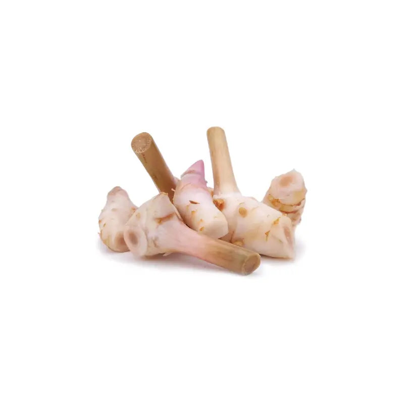 Fresh Galangal / Laos Wortel - 100 -120g-Global Food Hub