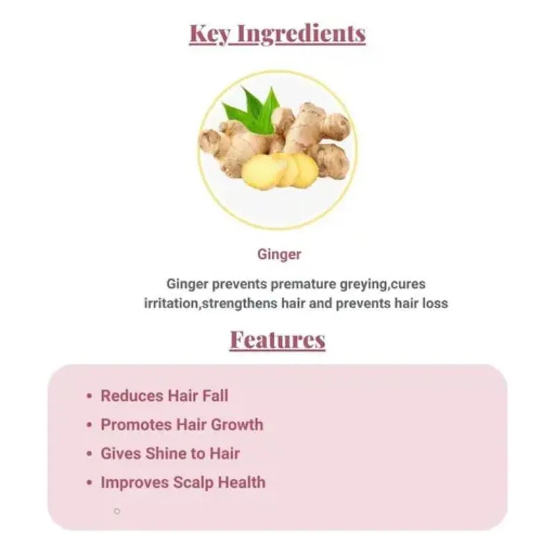 Garnier Botanic Therapy Hair Milk Mask Revitalizing Ginger - 250ml-Global Food Hub