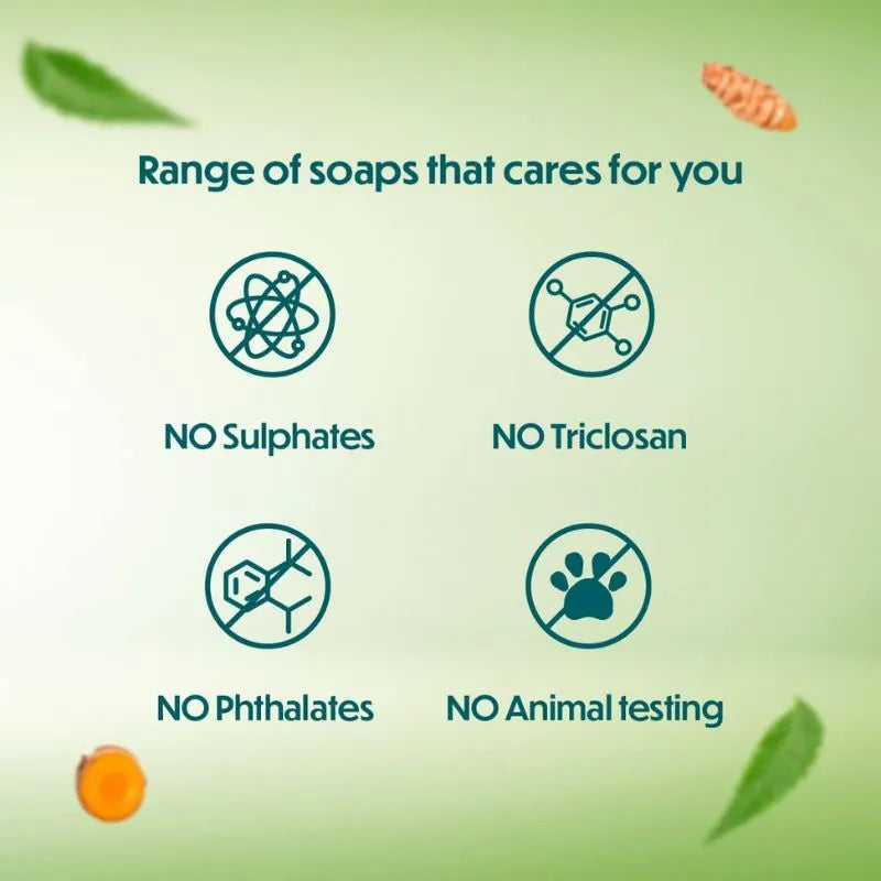 Himalaya Neem and Turmeric Soap - 75g-Global Food Hub
