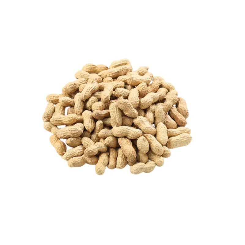 Lao Shan - Roasted Peanuts In Shell 400g-Global Food Hub