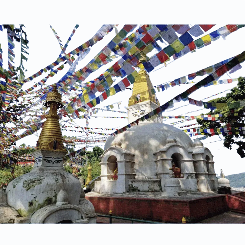 Tibetan Prayer Flag 1pc - Total Flag Length 600cm-Global Food Hub