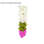 Artificial Garland 1 Pc - White with Green leaves and Pink Flower at bottom-Global Food Hub