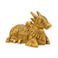 Brass Nandi Coming Statue : Weight- 1Kg-Global Food Hub