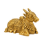 Brass Nandi Coming Statue : Weight- 1Kg-Global Food Hub
