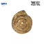 Brass Shankh (Conch) With Ganesh Carving-Global Food Hub