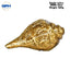 Brass Shankh (Conch) With Ganesh Carving-Global Food Hub