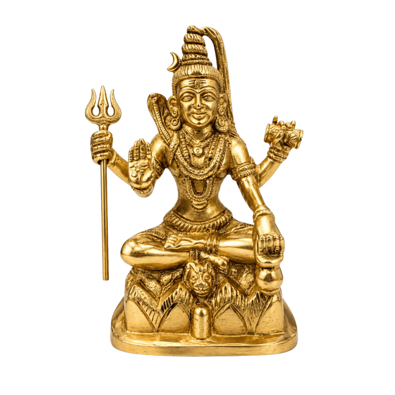 Brass Shiva with Trishul-Global Food Hub