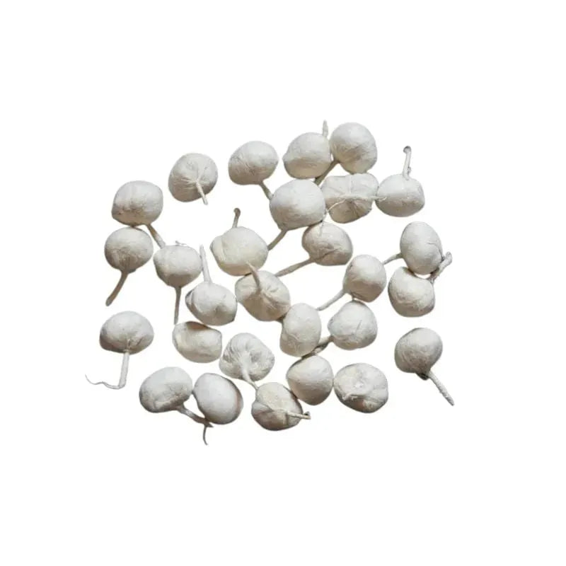 Cotton Diva Batti Round - 15g-Global Food Hub