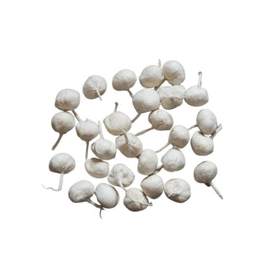 Cotton Diva Batti Round - 25g-Global Food Hub