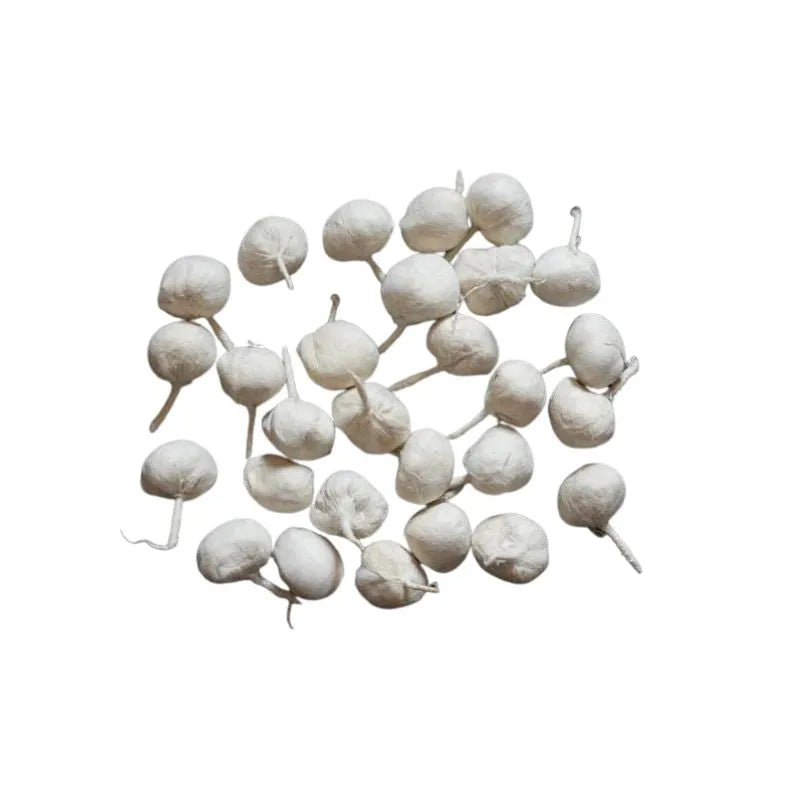 Cotton Diva Batti Round - 25g-Global Food Hub