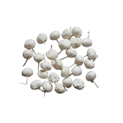 Cotton Diva Batti Round - 25g-Global Food Hub