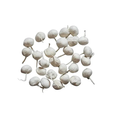 Cotton Diva Batti Round - 25g-Global Food Hub
