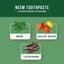 Dabur Antibacterial Neem Toothpaste - 100ml-Global Food Hub