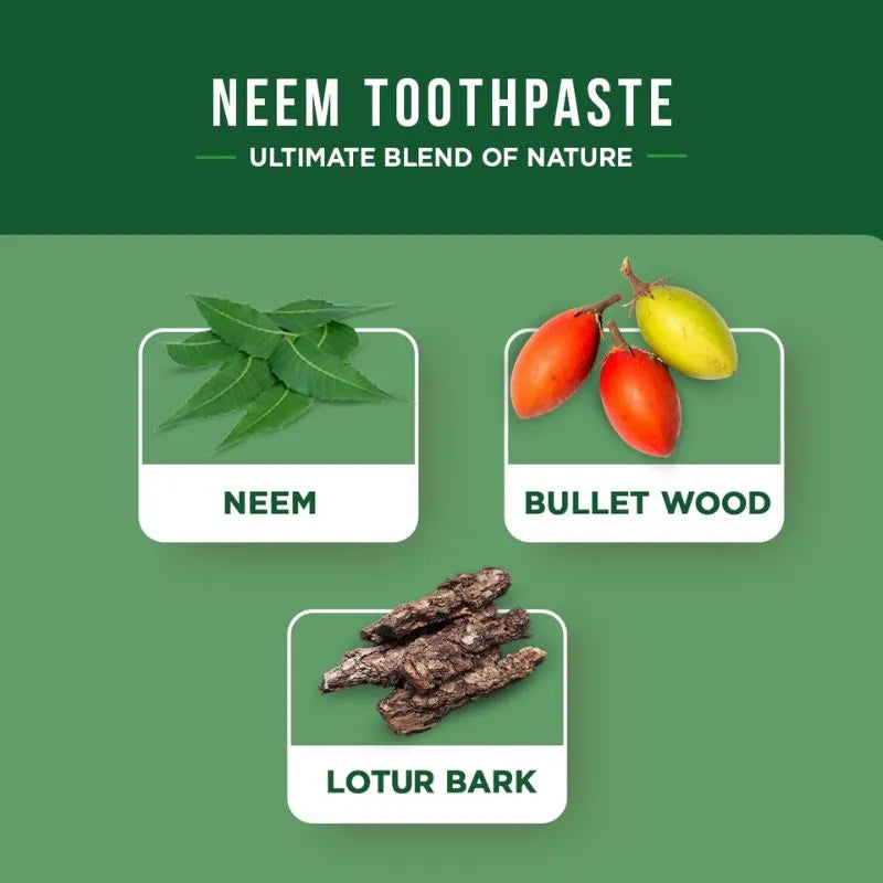 Dabur Antibacterial Neem Toothpaste - 100ml-Global Food Hub