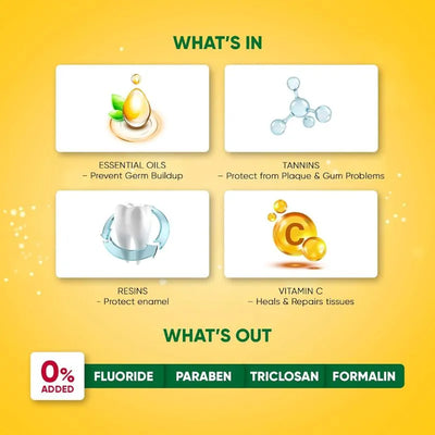 Dabur Meswak Toothpaste - 158g-Global Food Hub