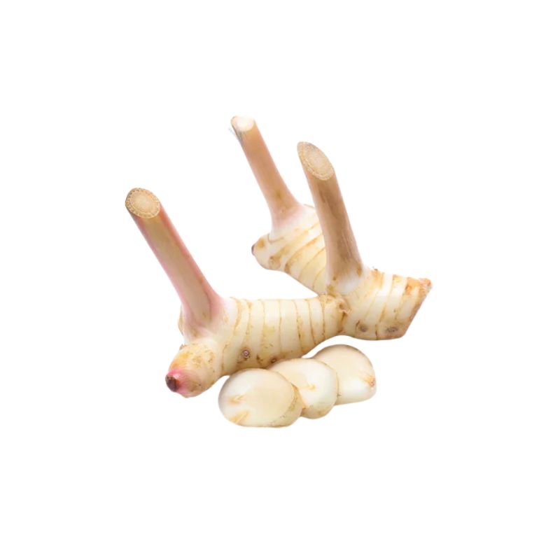 Flower Brand Frozen Laos / Galangal - 100g-Global Food Hub