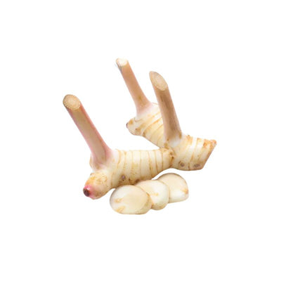 Flower Brand Frozen Laos / Galangal - 100g-Global Food Hub