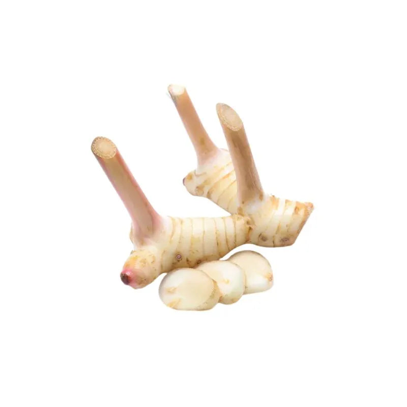 Flower Brand Frozen Laos / Galangal - 100g-Global Food Hub