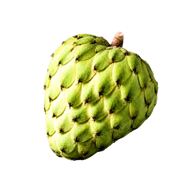 Fresh Atemoya - 300g-400g-Global Food Hub