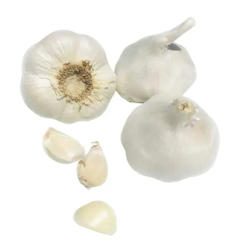 Fresh Big Sized Garlic / Lahasun - 475 -500g-Global Food Hub