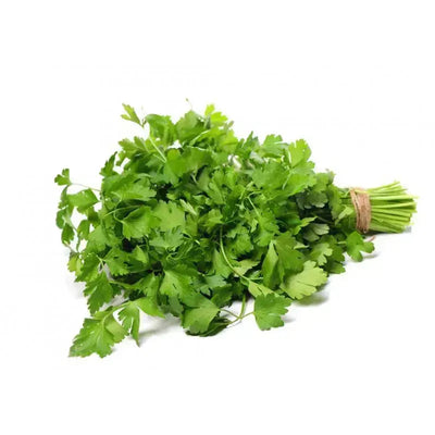 Fresh Dhaniya (Coriander leaves) - 1 Bunch-Global Food Hub