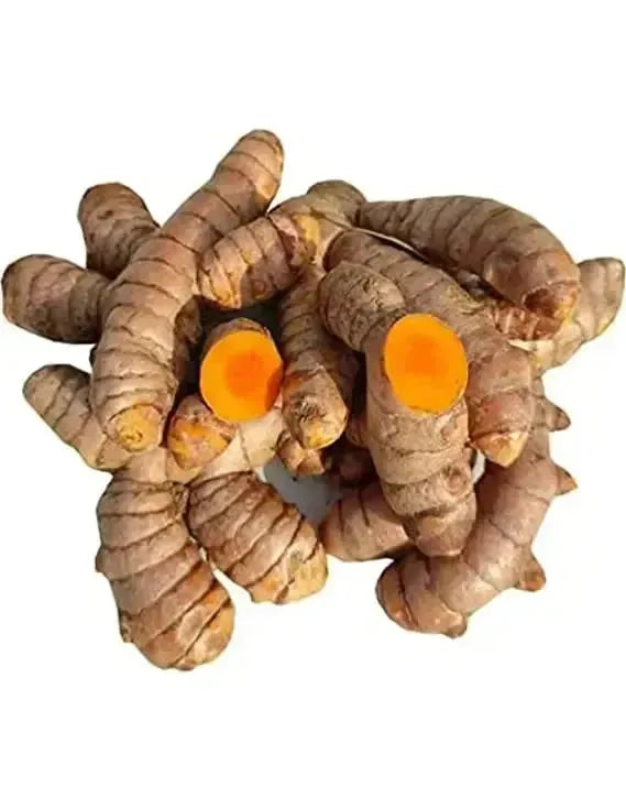 Fresh Haldi / Turmeric / Kurkuma - 170-200g-Global Food Hub