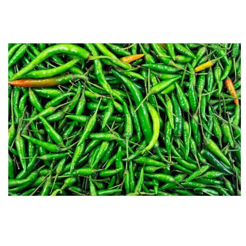 Fresh Indian Green Chillies - 200g-Global Food Hub