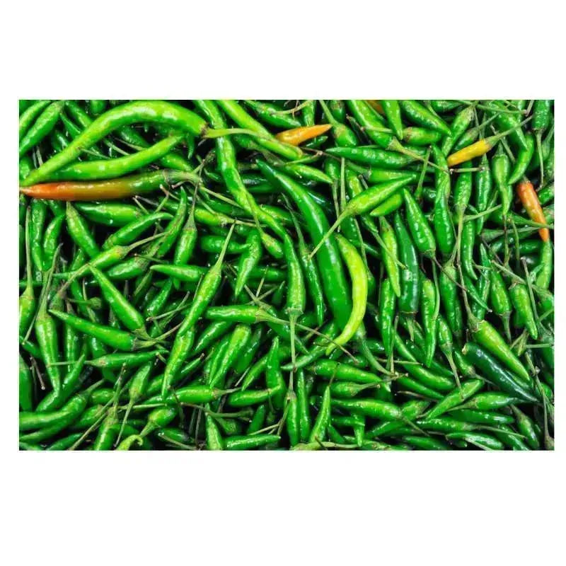 Fresh Indian Green Chillies - 300g-Global Food Hub