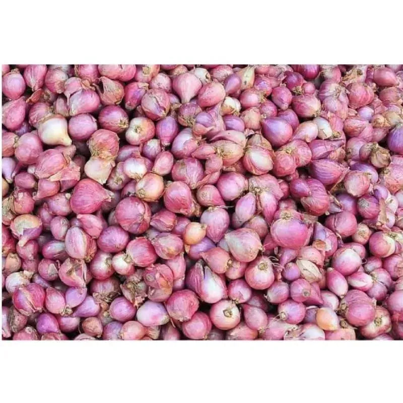 Fresh Indian Shallots / Pyaaj - 200g-Global Food Hub