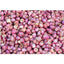 Fresh Indian Shallots / Pyaaj-Global Food Hub