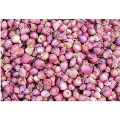 Fresh Indian Shallots / Pyaaj-Global Food Hub