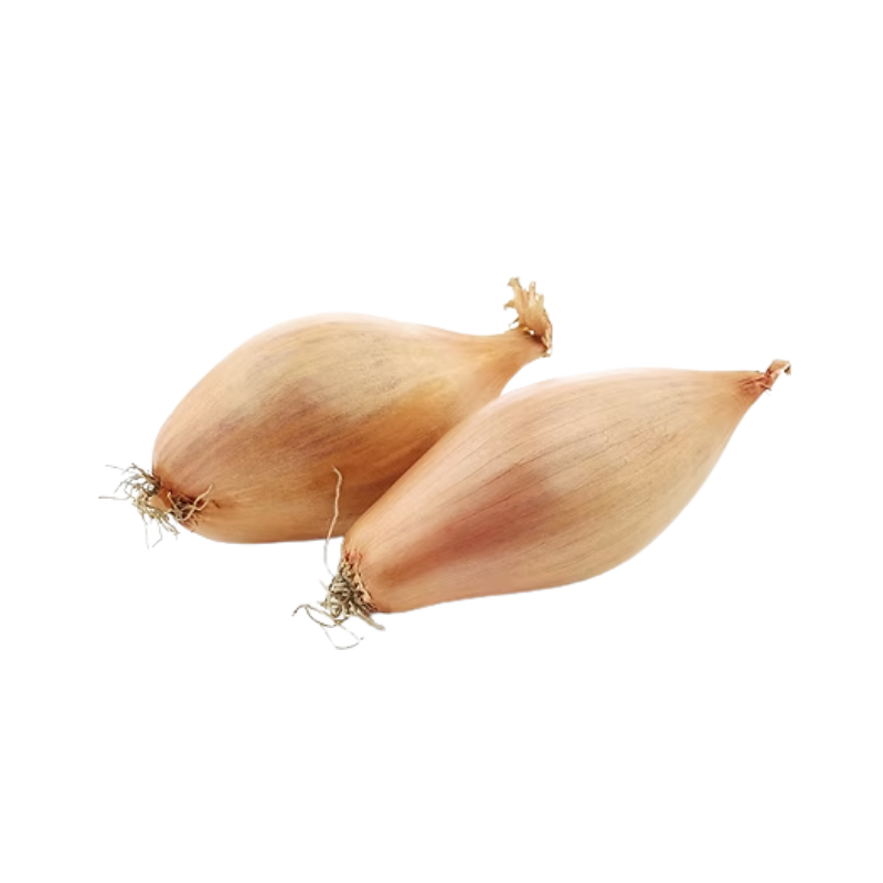 Fresh Long Shallots / Pyaaj - 500g-Global Food Hub