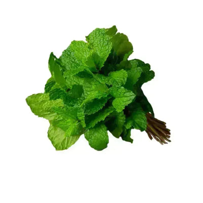 Fresh Mint (Pudina leaves)- 1 Bunch-Global Food Hub