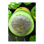 Hanuman Thai Inno Green Herbal Inhaler - 5g-Global Food Hub