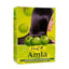 Hesh Amla Powder - 100g-Global Food Hub