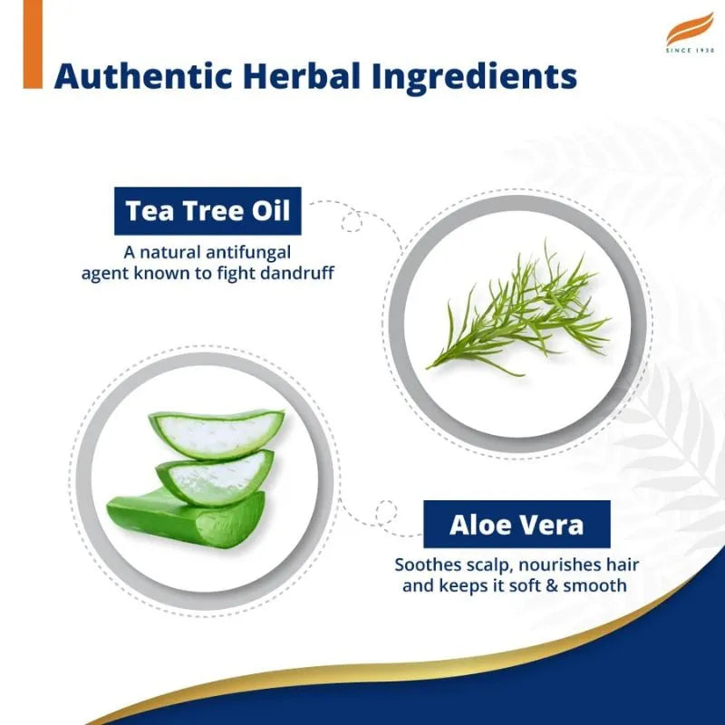 Himalaya Anti Dandruff Tea Tree Shampoo - 180ml-Global Food Hub