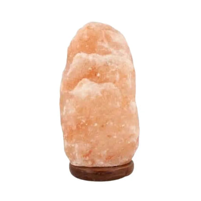 Himalayan Salt Lamp 2-3kg-Global Food Hub