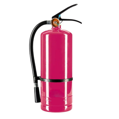 Holi Color Extinguisher - Pink-Global Food Hub