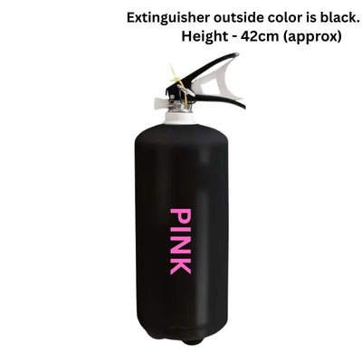 Holi Color Extinguisher - Pink - Height 42 cm-Global Food Hub