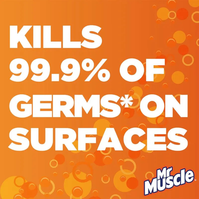 Mr Muscle Disinfectant Spray Outdoor Scent- 400ml-Global Food Hub