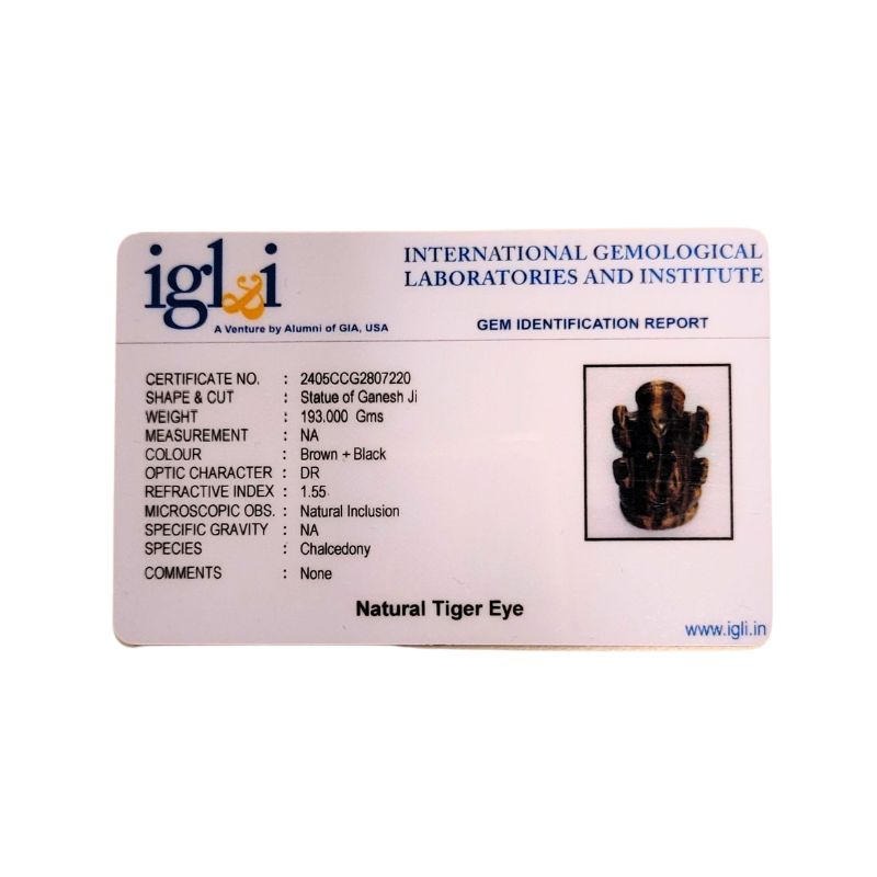 Natural Tiger Eye Stone Ganesha With Certificate-Global Food Hub