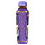 OKF - Aloe Vera Drink Blueberry - 500ml-Global Food Hub