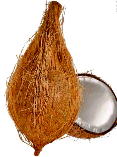 Pooja Coconut-Global Food Hub