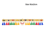 Premium Fancy Toran S4-Global Food Hub