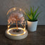 Rose Quartz "Love" Gemstone Tree with Mixed Tumbled Stones in Glass with Light-Global Food Hub