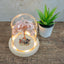 Rose Quartz "Love" Gemstone Tree with Mixed Tumbled Stones in Glass with Light-Global Food Hub