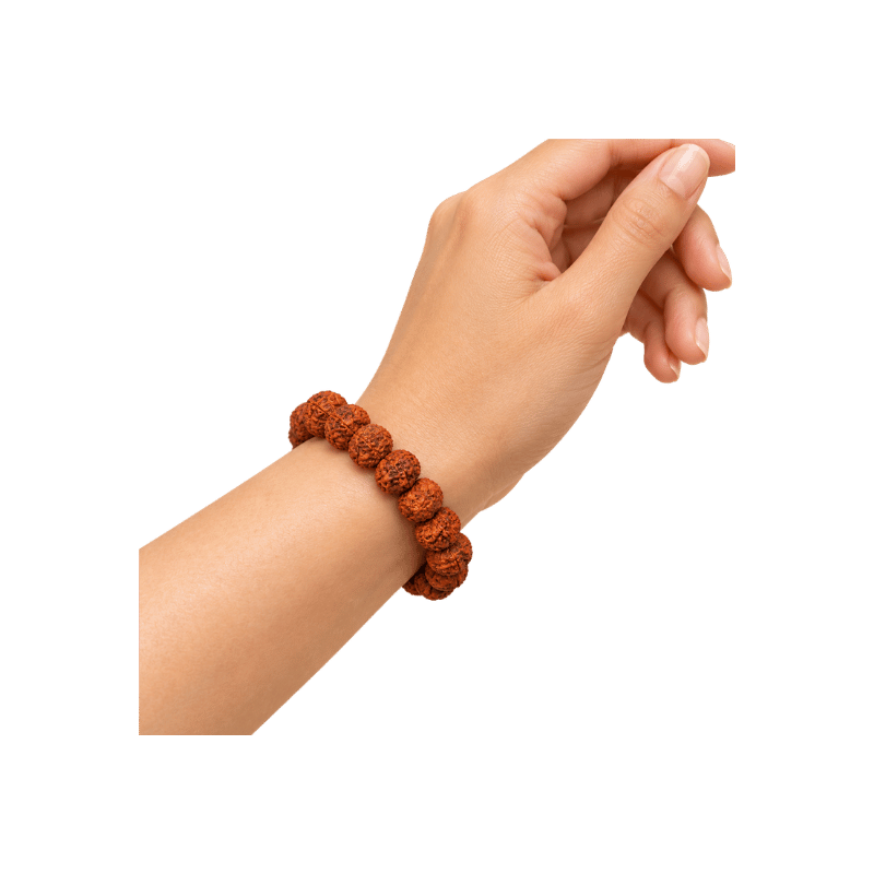 Rudraksh Bracelet - 35mm-Global Food Hub