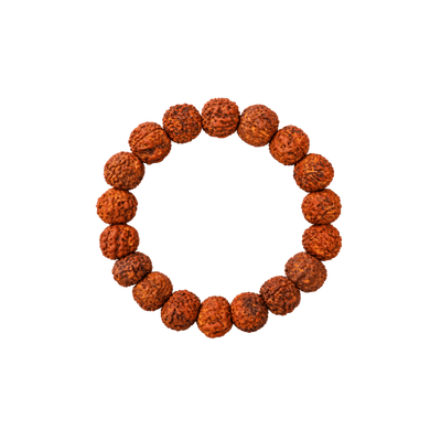 Rudraksh Bracelet - 35mm-Global Food Hub